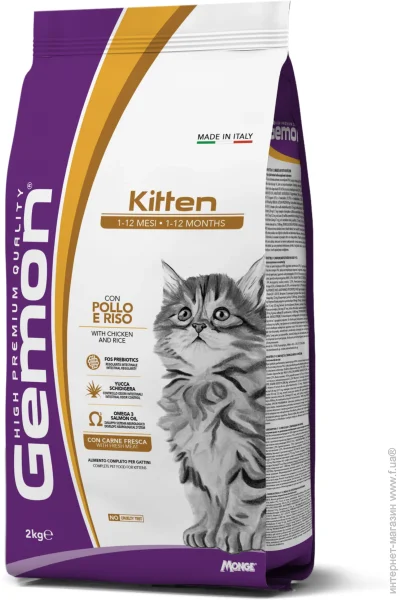   Gemon Kitten   2 