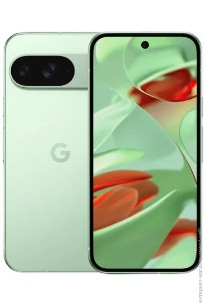  Google Pixel 9 12/256GB Wintergreen