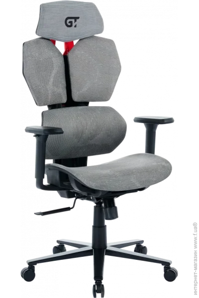   GT Racer X-6008 Gray