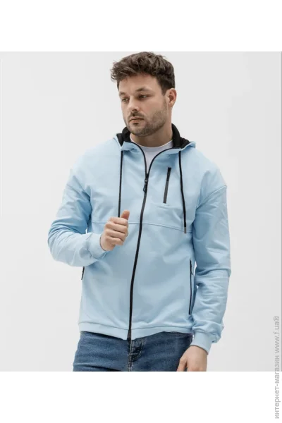  ()      - HECTOR - 17317 - L -  (49684)