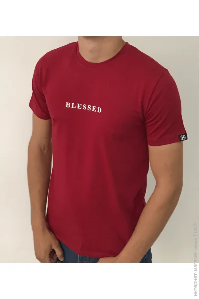     BLESSED - HECTOR - 40208 - L -  (42486)