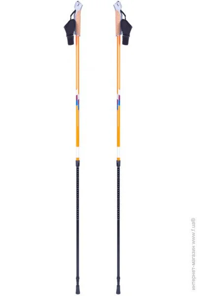   Insportline   Potosi (13156)