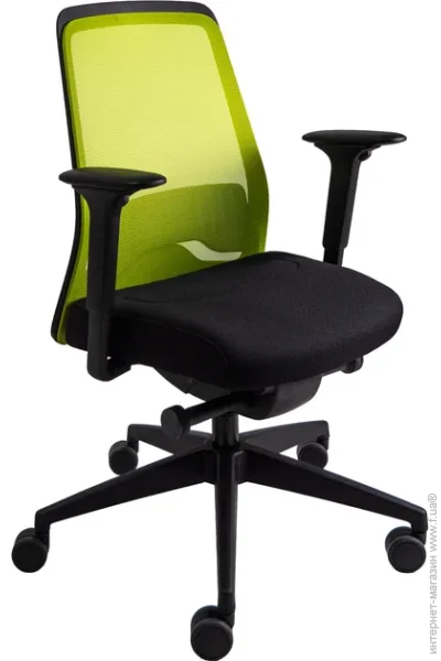   Interstuhl Every (EV216 (MH01/green mesh))