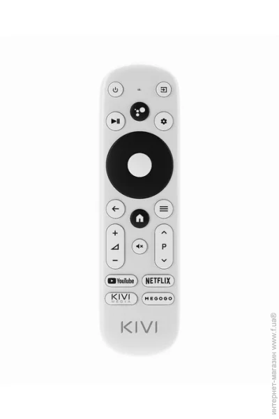   Kivi RC-40 (N504Q3271104)