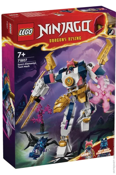  LEGO NINJAGO     209  (71807)