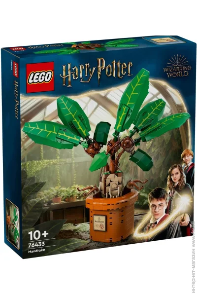  LEGO   (76433)