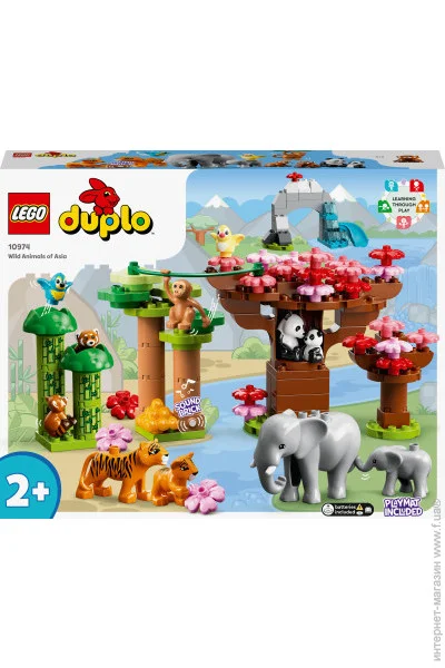  LEGO DUPLO Town    117  (10974)