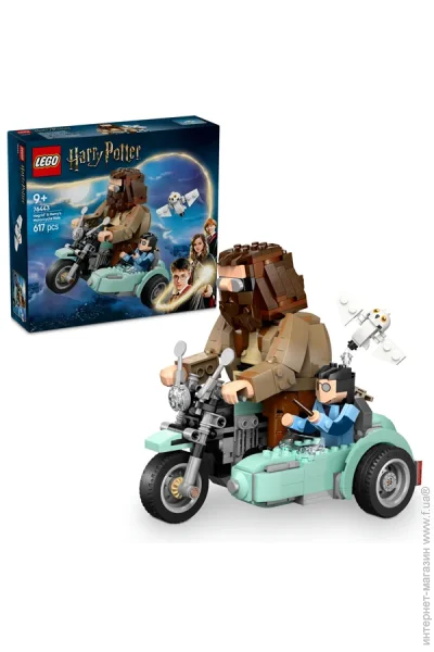  LEGO Harry Potter       617  (76443)