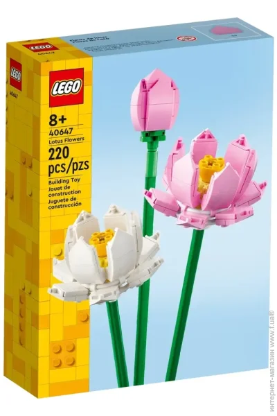  LEGO Icons   220  (40647)