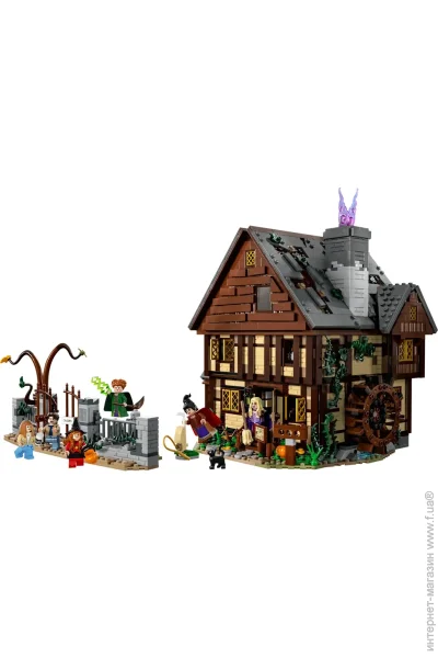  LEGO Ideas - :    (21341)