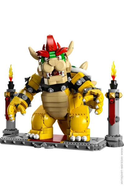 LEGO Super Mario   (71411)