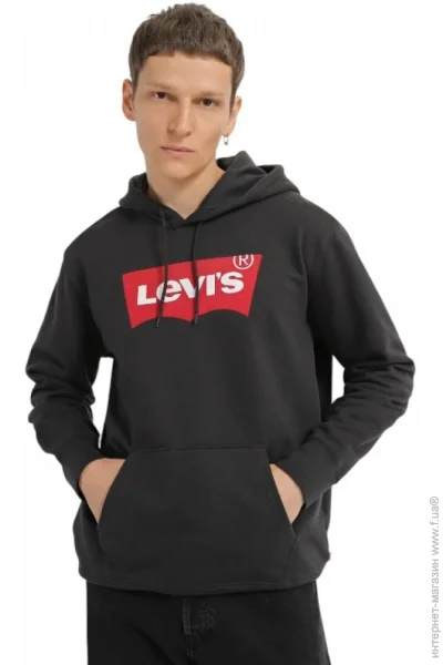  Levis LOGO HOODIE (384240001-L)