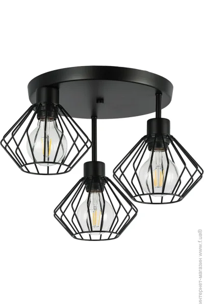   Levistella752102-3(108) BK 