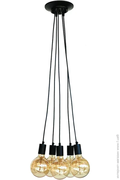   Levistella7527120-5 BK 