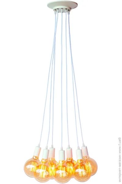   Levistella7527120-7 WH 