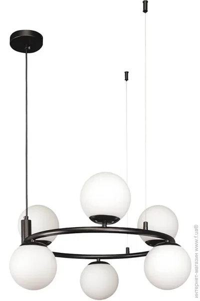      Levistella 7521011-6 BK+ WH ,  