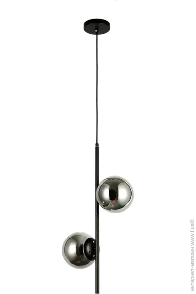  ,  Levistella 7521015-2 BK+ BK ,  