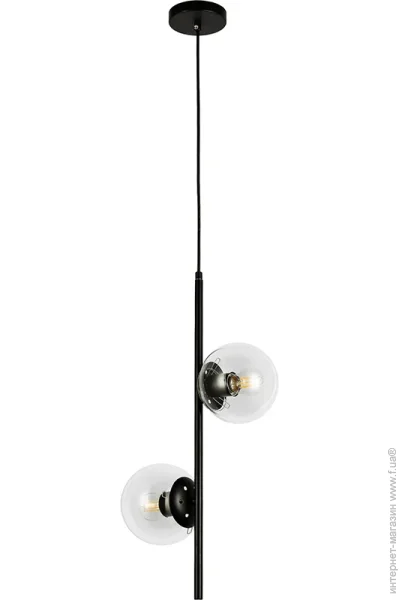  ,  Levistella 7521015-2 BK+ CL ,  