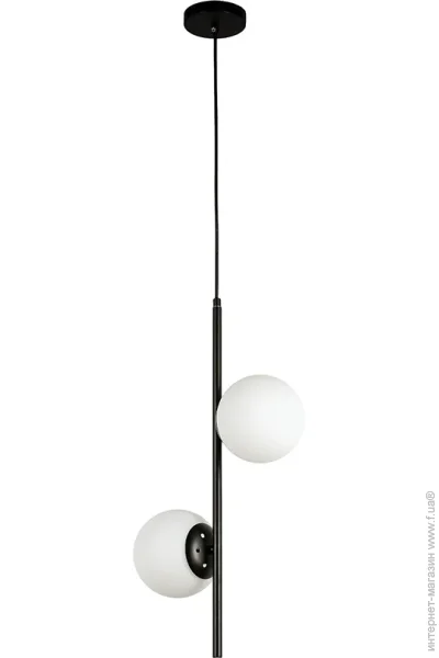 ,  Levistella 7521015-2 BK+ WH ,  