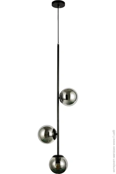  ,  Levistella 7521015-3 BK+ BK ,  