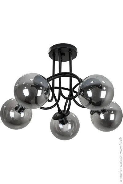    Levistella 7529910-5 BK+ BK ,  