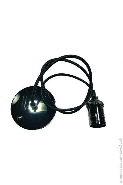   Levistella AMP17004-1  