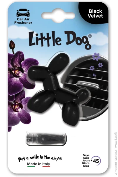   Little Dog     