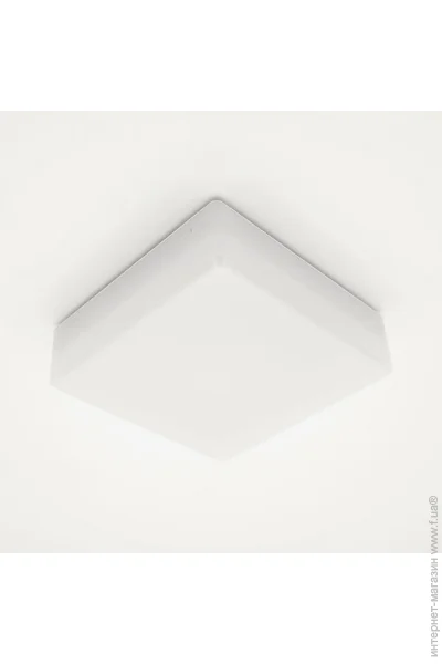 Luminaria  - 15   5000 