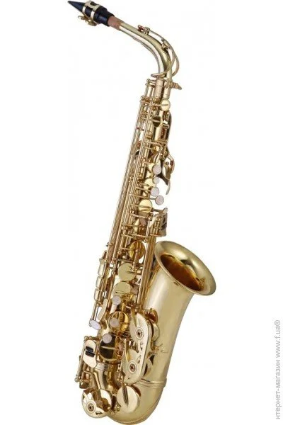  Maxtone SXC21 AL