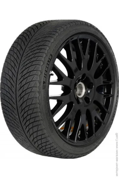   Michelin Pilot Alpin PA5 215/65 R17 99H  