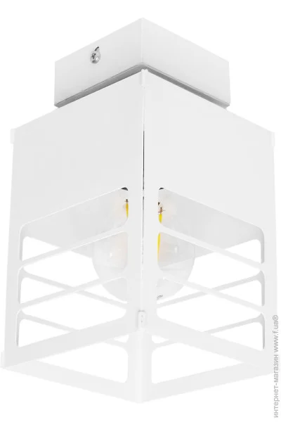   MSK Electric Urban     NL 2310 WH