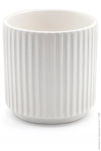 MVM -   DH-FLOWERS-24 S WHITE 11  