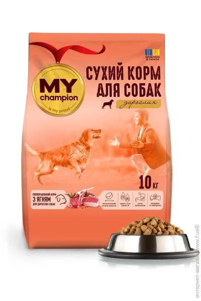   My Champion     10 