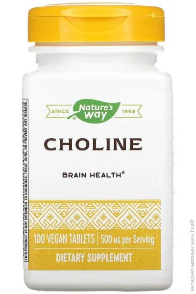 ³ Nature`S Way Choline 100  (4384304660)