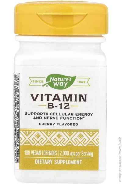 Nature`S Way ³   Nature's Way Vitamin B-12, 100  