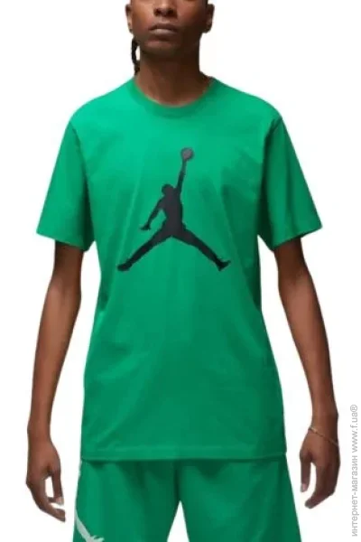  Nike Jumpman Logo (CJ0921-310-L)