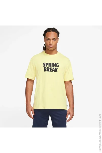   Nike SB (DX9457-706-L)