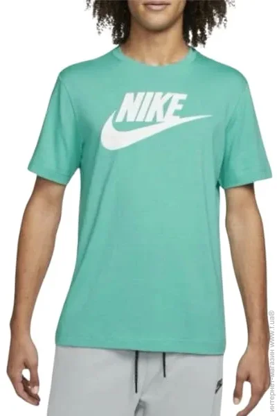   Nike T-shirt (DX1985-309-M)