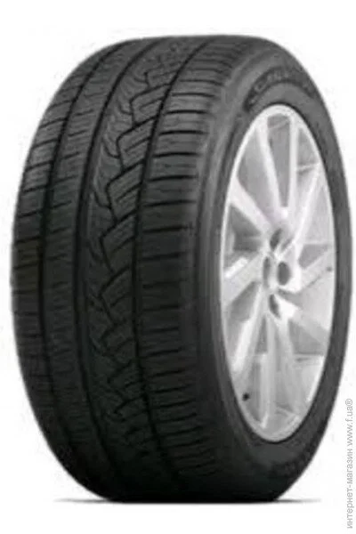   Nitto NT421Q 225/55 R19 99V