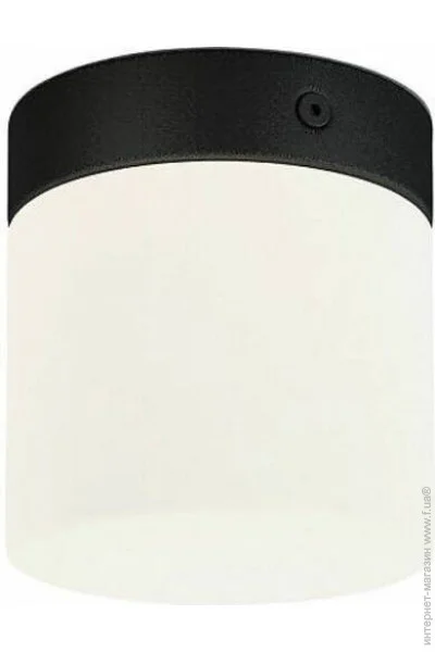 Nowodvorski    8055 Cayo (8055-now)