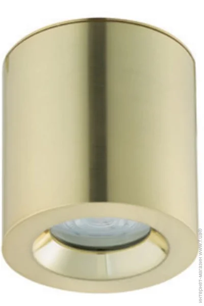 Nowodvorski     CEARA 10716 (10716-now)