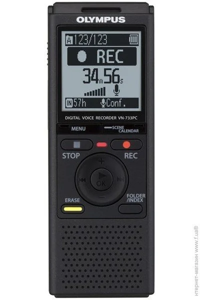  Olympus VN-733PC (V405251BE000)