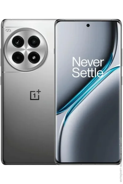  Oneplus Ace 3 Pro 16/512GB Gray (Asia)  NFC
