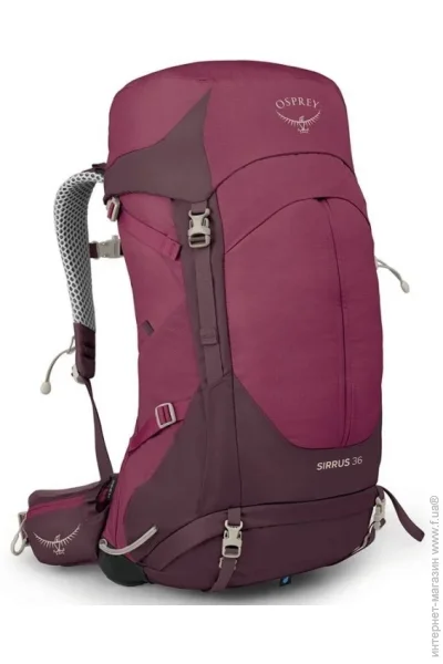Osprey  Sirrus 36 Burgundy (1054-009.3590)