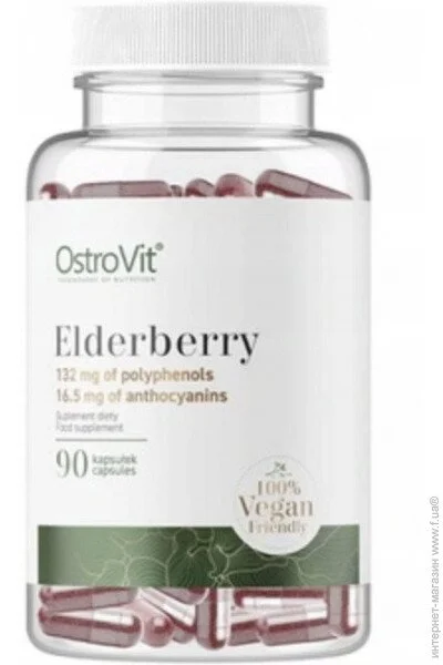   Ostrovit Elderberry 90caps (00000037864)