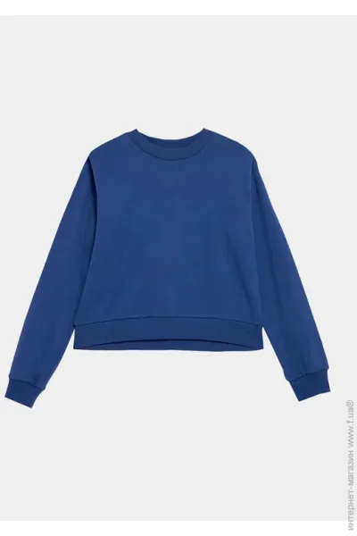 Outhorn  SWEATSHIRT F668 OTHAW23TSWSF668-36S .M 