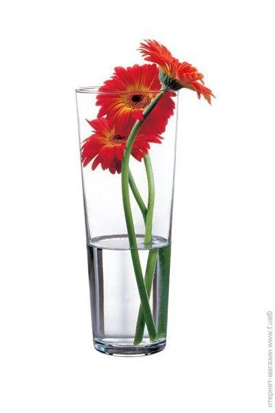  Pasabahce Flora (43177)