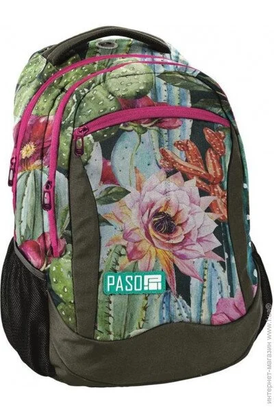   ,  Paso   Paso  (18-2808LO)