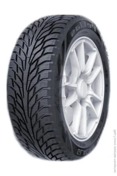   Petlas Glacier W661 185/65 R14 86T 