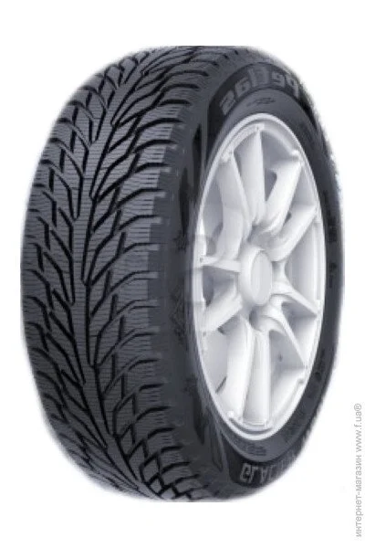   Petlas Glacier W661 205/60 R16 96T